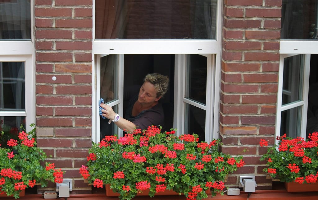 How to Effectively Clean Different Windows of the House?