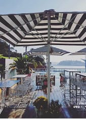 Poolside Cafe Tales for Sydney: Where Clean Windows Make the View