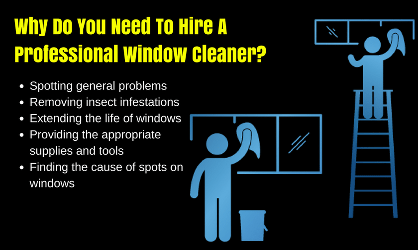Why Hire A Professional Window Cleaner?